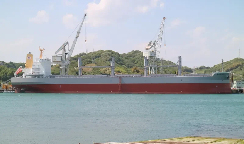 PAOLO TOPIC Bulk Carrier IMO 9726255 photo 7