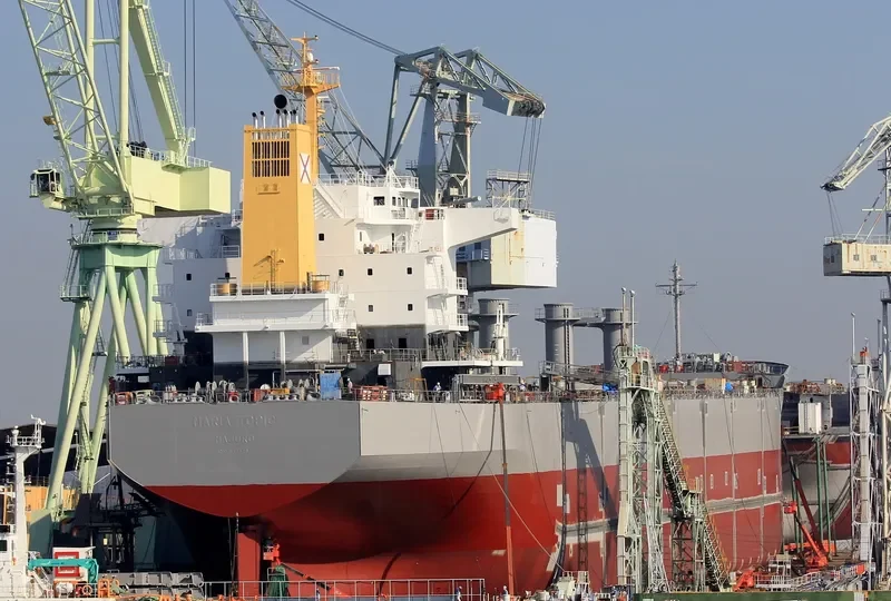 MARIA TOPIC Bulk Carrier IMO 9726267 photo 2
