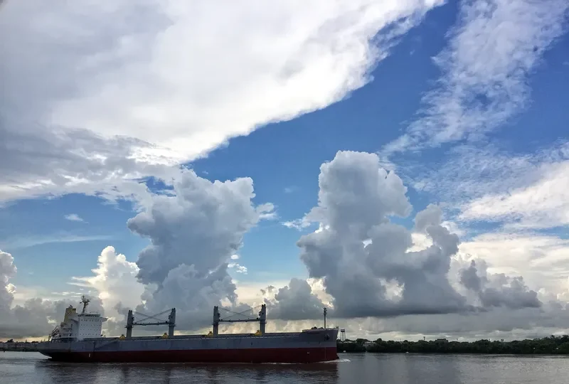 MARIA TOPIC Bulk Carrier IMO 9726267 photo 3