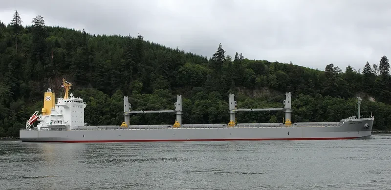 MARIA TOPIC Bulk Carrier IMO 9726267 photo 6