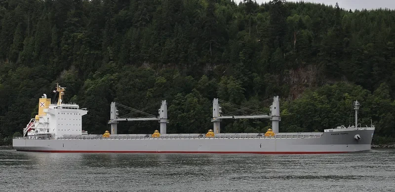 MARIA TOPIC Bulk Carrier IMO 9726267 photo 7