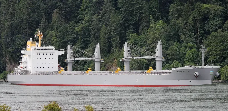 MARIA TOPIC Bulk Carrier IMO 9726267 photo 8
