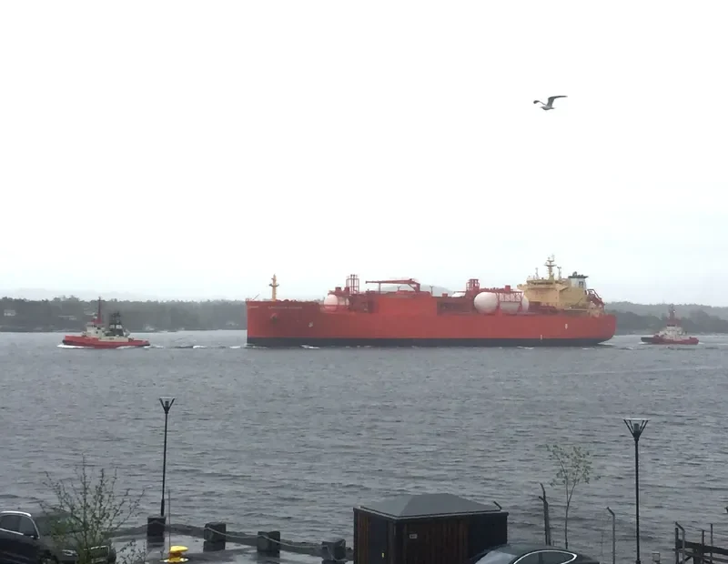 NAVIGATOR AURORA General Cargo IMO 9726322 photo 4