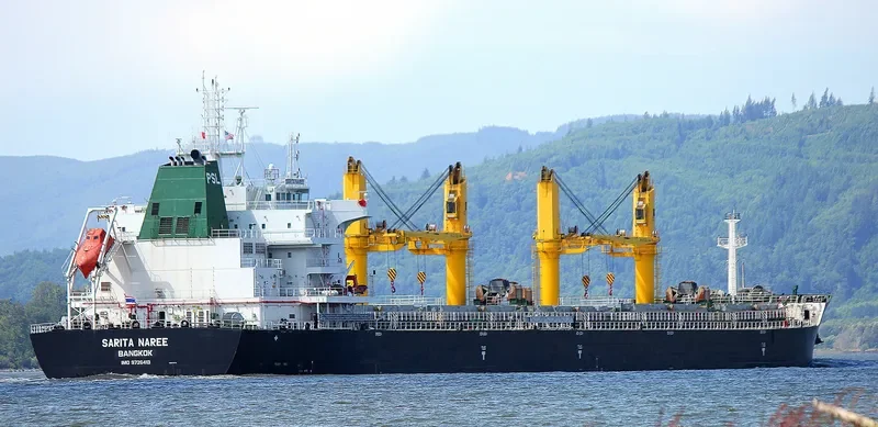 SARITA NAREE Bulk Carrier IMO 9726413