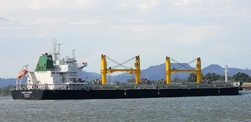SARITA NAREE Bulk Carrier IMO 9726413 photo 2