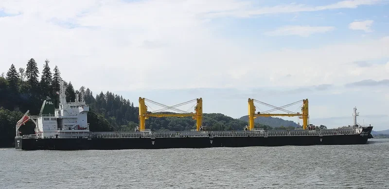 SARITA NAREE Bulk Carrier IMO 9726413 photo 3