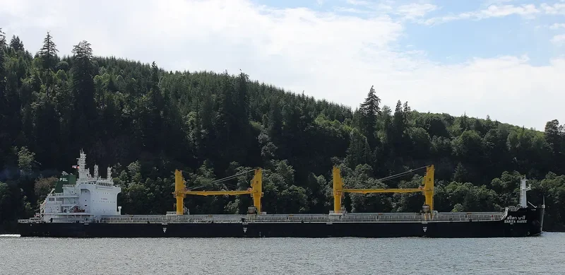 SARITA NAREE Bulk Carrier IMO 9726413 photo 4