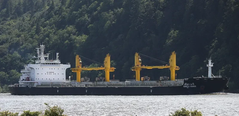 SARITA NAREE Bulk Carrier IMO 9726413 photo 5