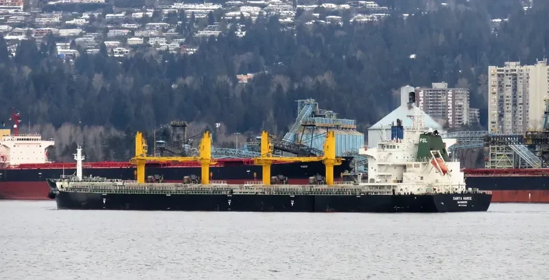 SARITA NAREE Bulk Carrier IMO 9726413 photo 6