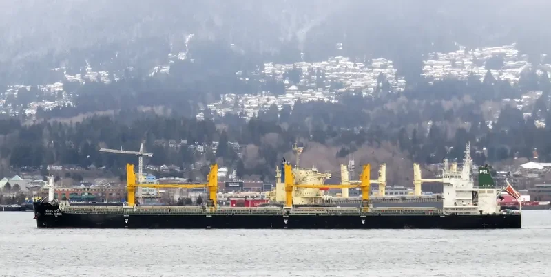 SARITA NAREE Bulk Carrier IMO 9726413 photo 7