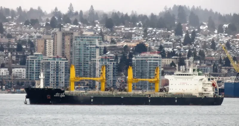 SARITA NAREE Bulk Carrier IMO 9726413 photo 8