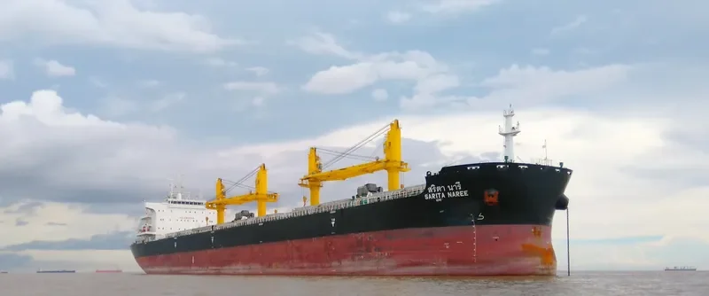 SARITA NAREE Bulk Carrier IMO 9726413 photo 9