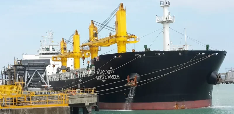 SARITA NAREE Bulk Carrier IMO 9726413 photo 10