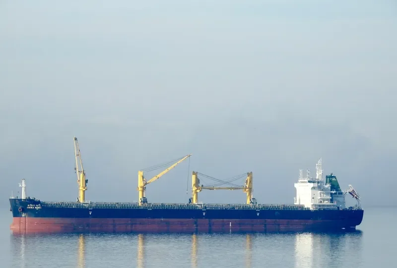 SARIKA NAREE Bulk Carrier IMO 9726425