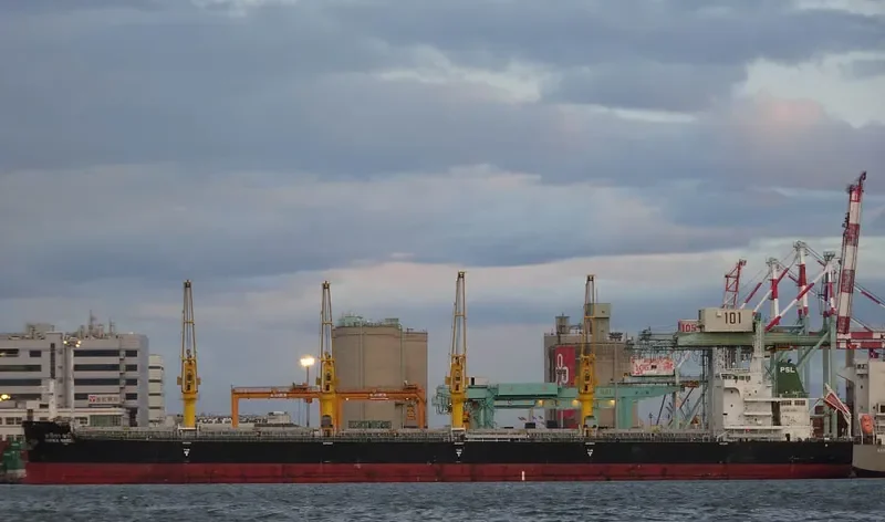 SARIKA NAREE Bulk Carrier IMO 9726425 photo 2