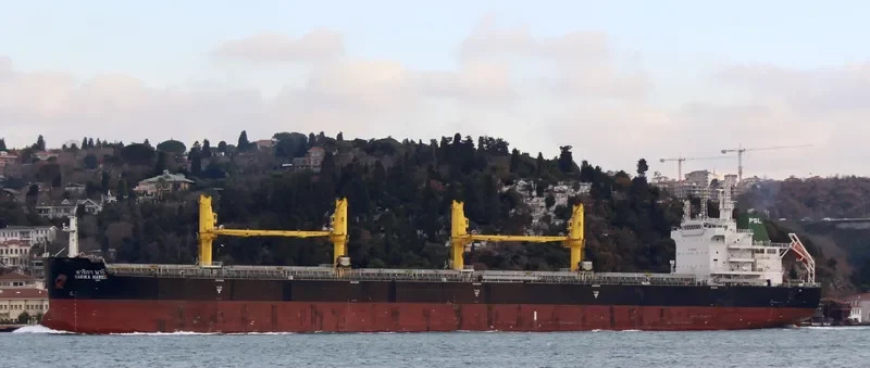 SARIKA NAREE Bulk Carrier IMO 9726425 photo 3