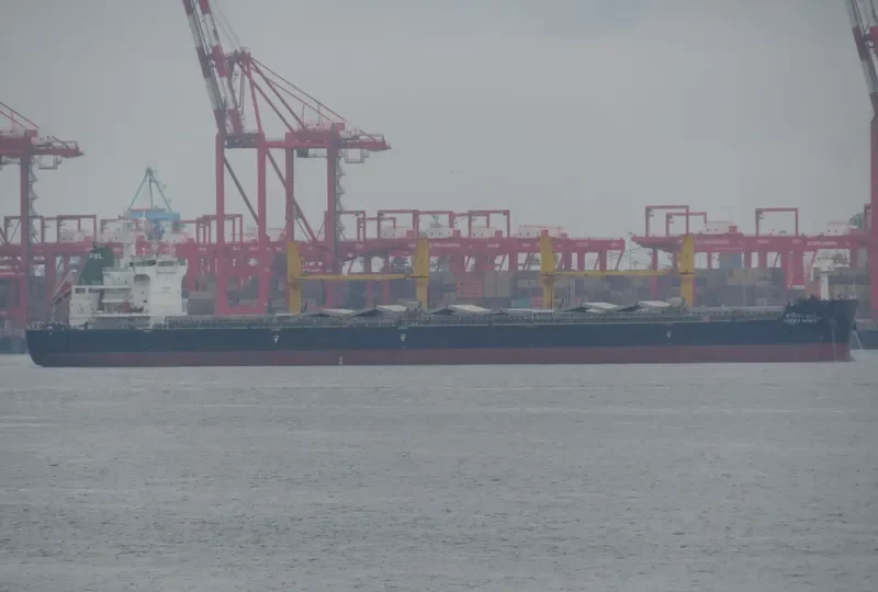 SARIKA NAREE Bulk Carrier IMO 9726425 photo 7