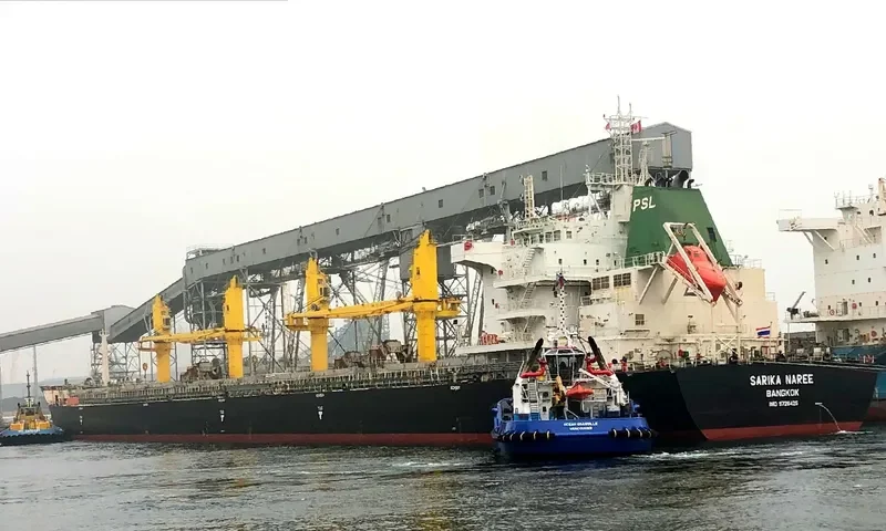 SARIKA NAREE Bulk Carrier IMO 9726425 photo 9