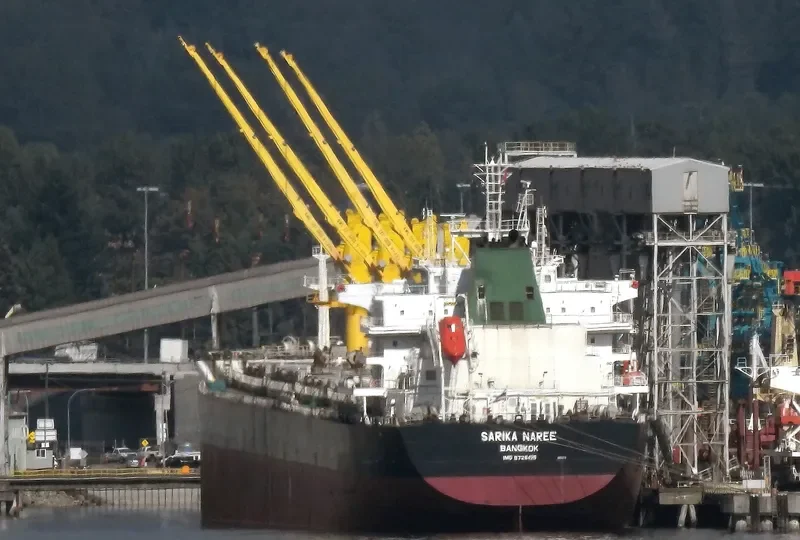 SARIKA NAREE Bulk Carrier IMO 9726425 photo 10