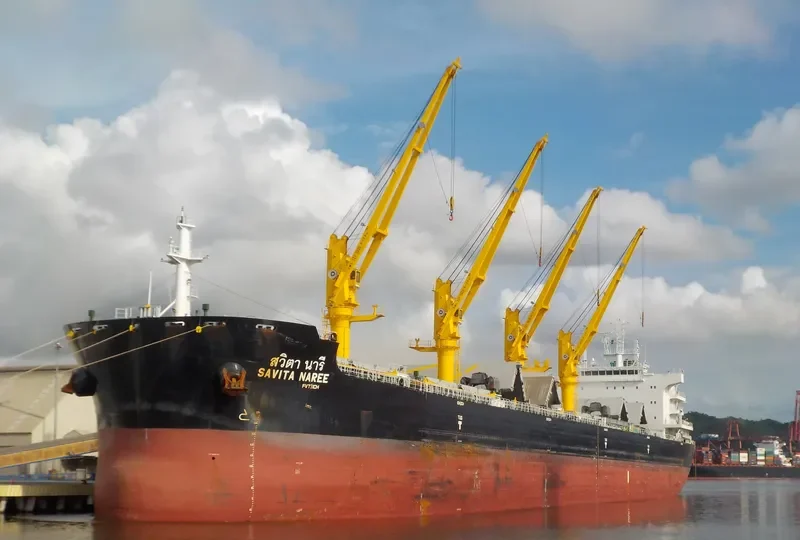 SAVITA NAREE Bulk Carrier IMO 9726437 photo 2
