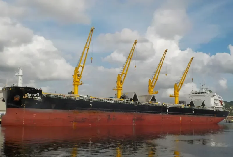 SAVITA NAREE Bulk Carrier IMO 9726437 photo 3