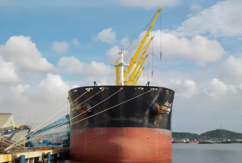SAVITA NAREE Bulk Carrier IMO 9726437 photo 4