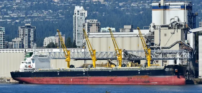 SAVITA NAREE Bulk Carrier IMO 9726437 photo 6