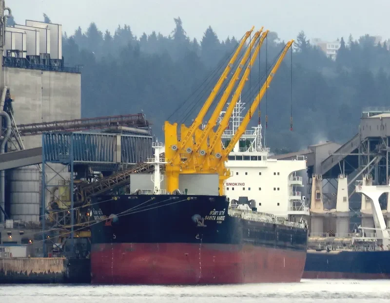 SAVITA NAREE Bulk Carrier IMO 9726437 photo 7