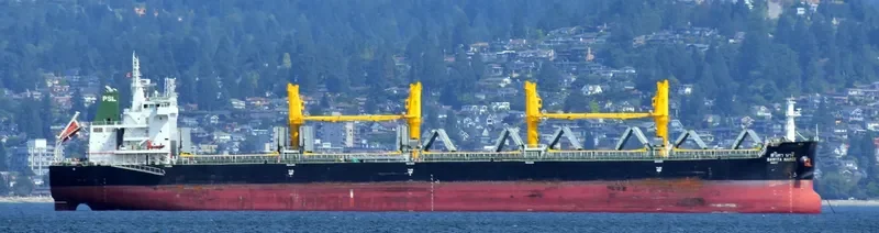 SAVITA NAREE Bulk Carrier IMO 9726437 photo 8