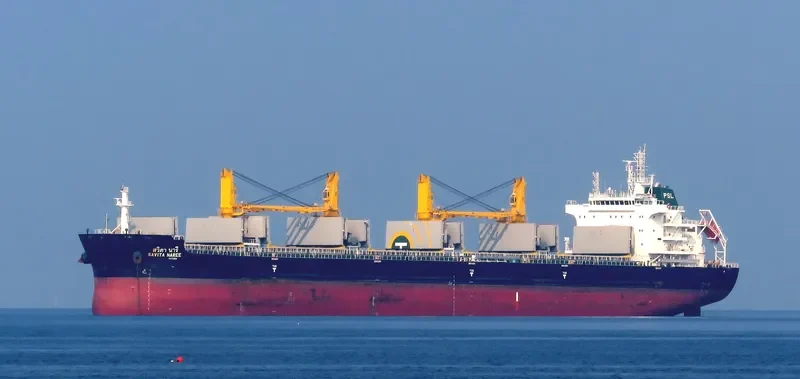 SAVITA NAREE Bulk Carrier IMO 9726437 photo 9