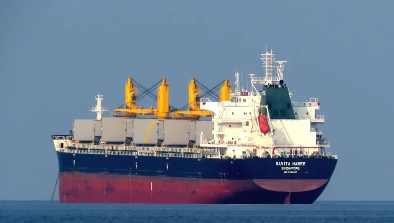 SAVITA NAREE Bulk Carrier IMO 9726437 photo 10