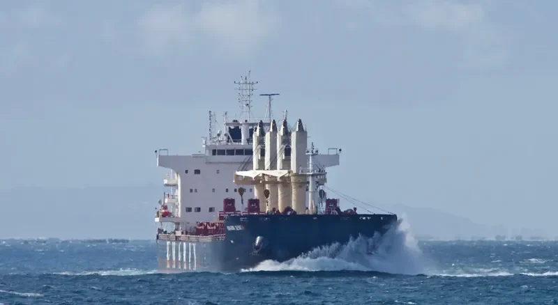 KMARIN GENOA Bulk Carrier IMO 9726504 photo 8
