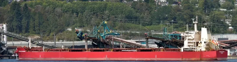 EMERALD BAISHA Bulk Carrier IMO 9726530 photo 2
