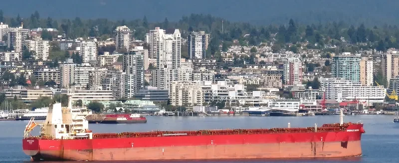 EMERALD BAISHA Bulk Carrier IMO 9726530 photo 3