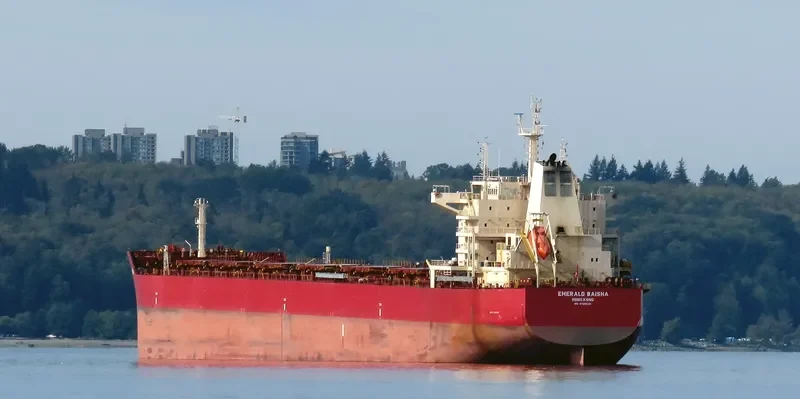 EMERALD BAISHA Bulk Carrier IMO 9726530 photo 4