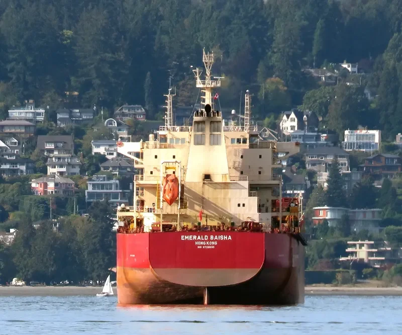 EMERALD BAISHA Bulk Carrier IMO 9726530 photo 5