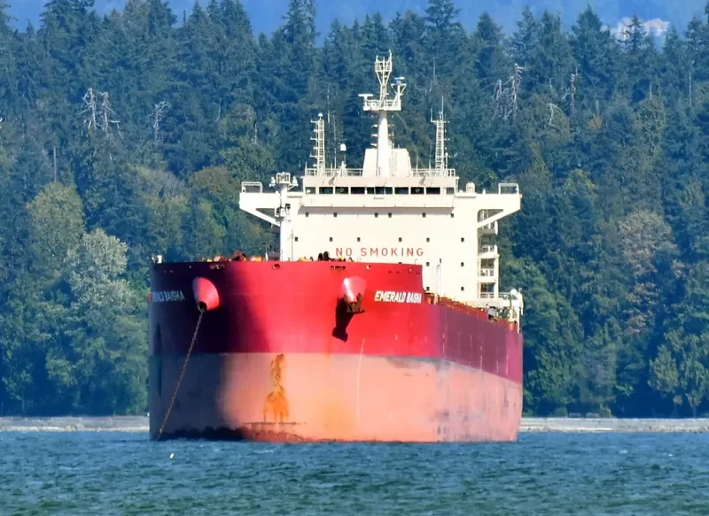 EMERALD BAISHA Bulk Carrier IMO 9726530 photo 6