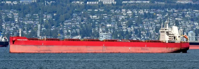 EMERALD BAISHA Bulk Carrier IMO 9726530 photo 8
