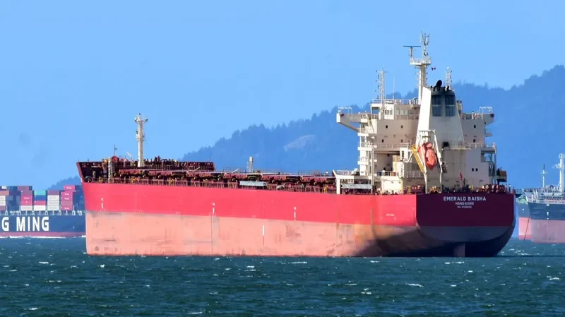 EMERALD BAISHA Bulk Carrier IMO 9726530 photo 9