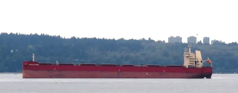 EMERALD BAISHA Bulk Carrier IMO 9726530 photo 10