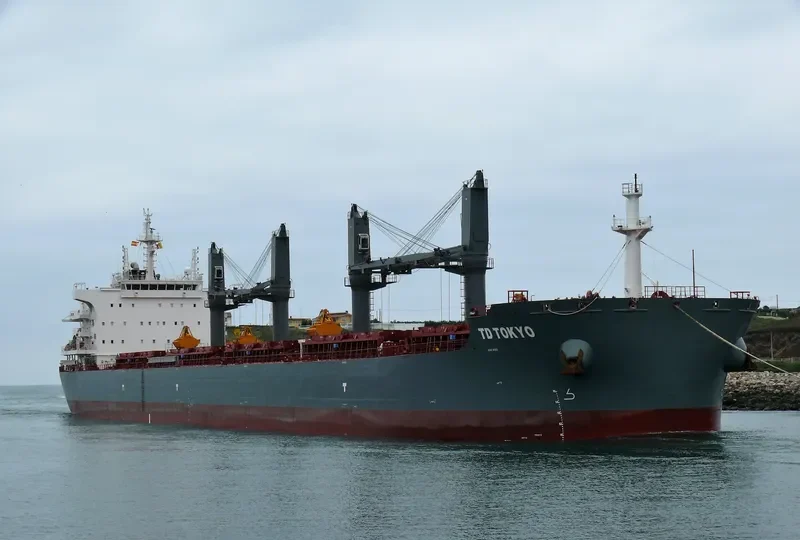 TD TOKYO Bulk Carrier IMO 9726566 photo 5