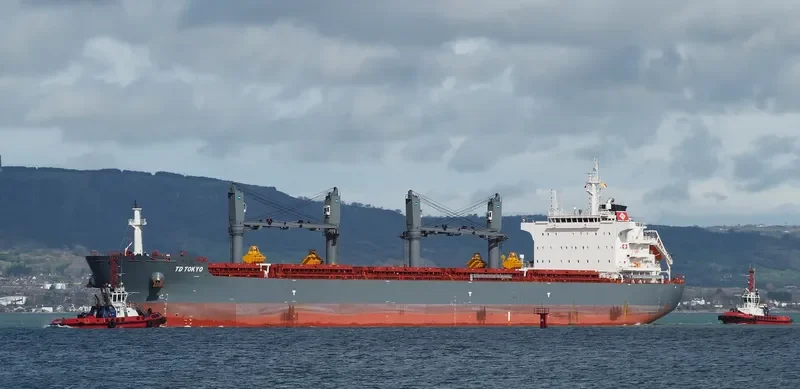 TD TOKYO Bulk Carrier IMO 9726566 photo 12