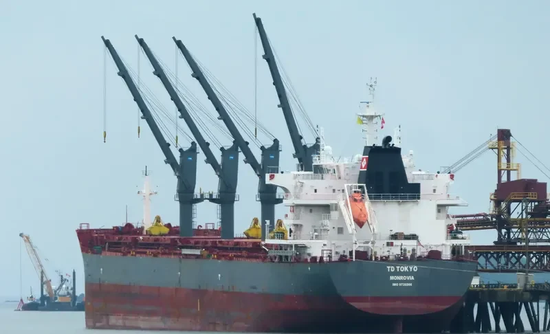 TD TOKYO Bulk Carrier IMO 9726566 photo 15