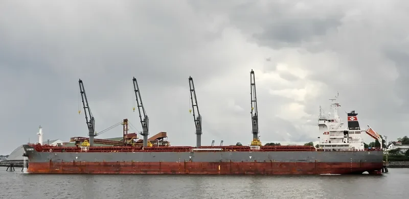 TD TOKYO Bulk Carrier IMO 9726566 photo 19