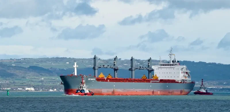 TD TOKYO Bulk Carrier IMO 9726566 photo 33