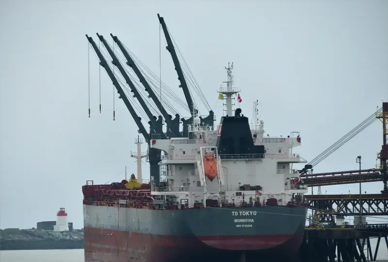 TD TOKYO Bulk Carrier IMO 9726566 photo 38
