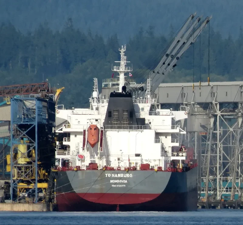 TD HAMBURG Bulk Carrier IMO 9726578 photo 16