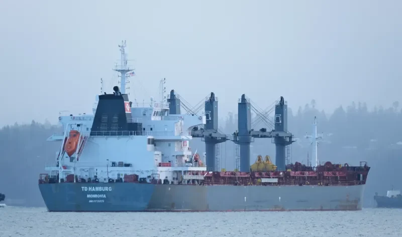 TD HAMBURG Bulk Carrier IMO 9726578 photo 32