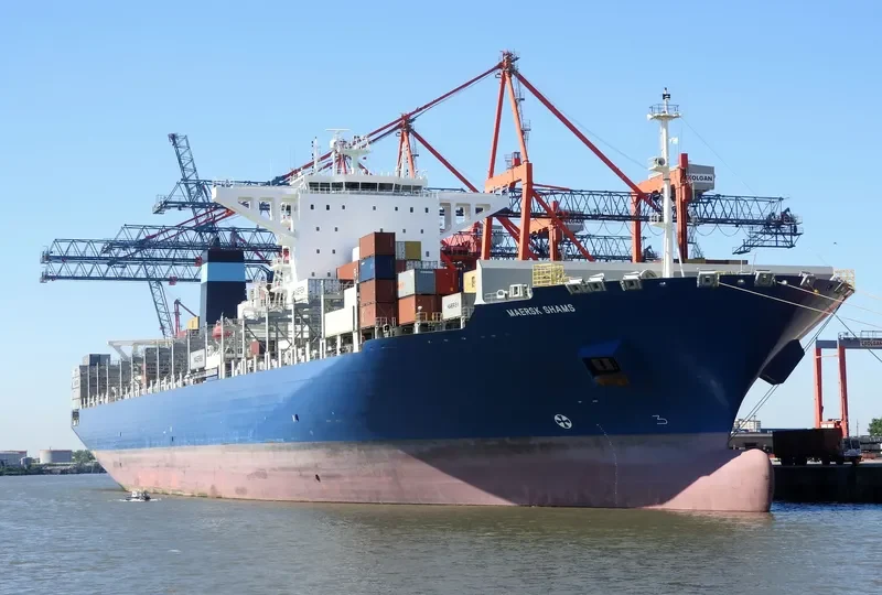 MAERSK SHAMS Container Ship IMO 9726669