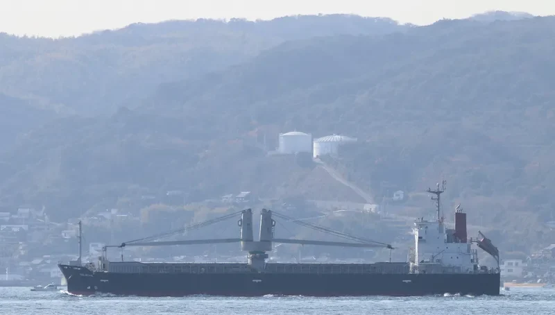 NILIKHA General Cargo IMO 9726748 photo 10